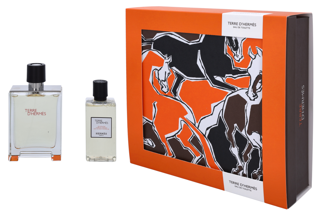 Hermes Terre D'Hermes Giftset 180 ml