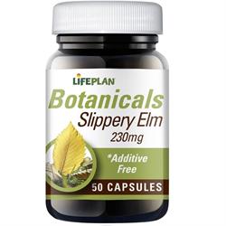 Lifeplan Slippery Elm  50 caps