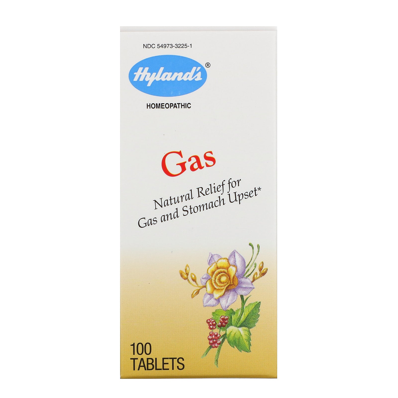 Hyland's, Gas, 100 Tablets