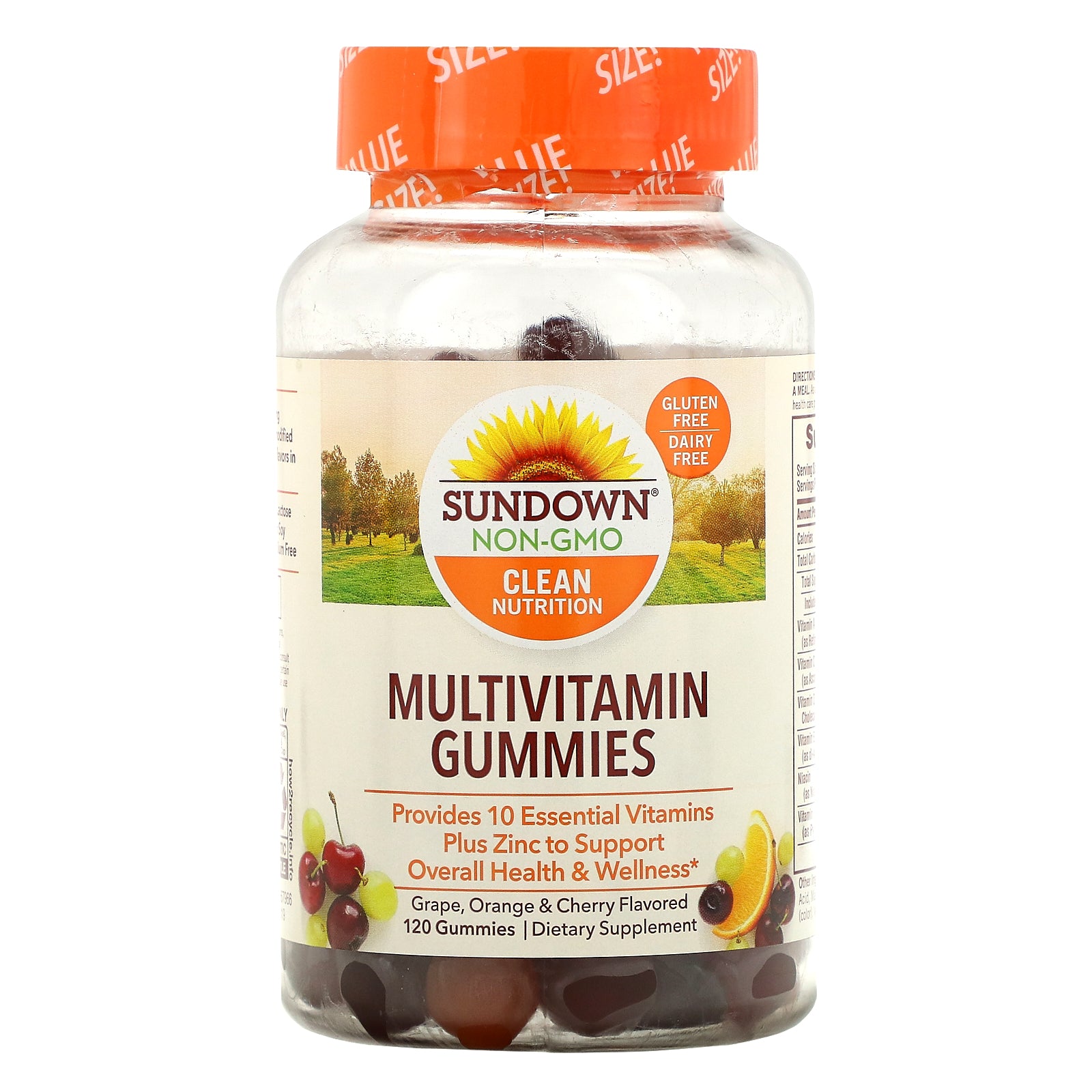 Sundown Naturals, Multivitamin Gummies, Grape, Orange & Cherry Flavored, 120 Gummies