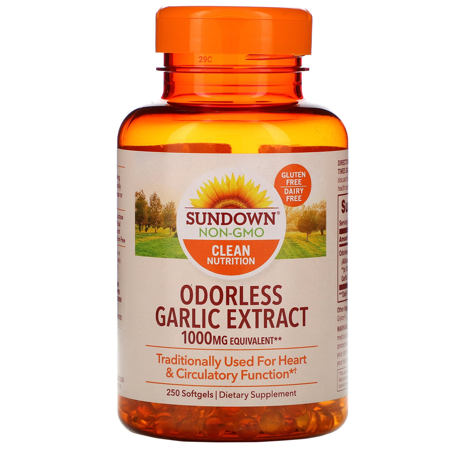Sundown Naturals, Odorless Garlic Extract, 1,000 mg, 250 Softgels