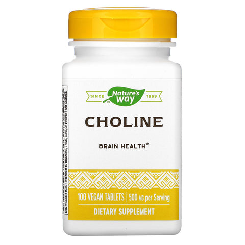 Nature's Way, Choline, 500 mg, 100 Vegan Tablets